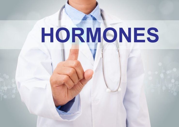 Doctor pointing at the word "hormones" on screen for hormone testing